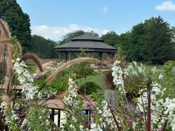 Behold the Work of Master Gardeners at Snyder ParkSnyder Park  