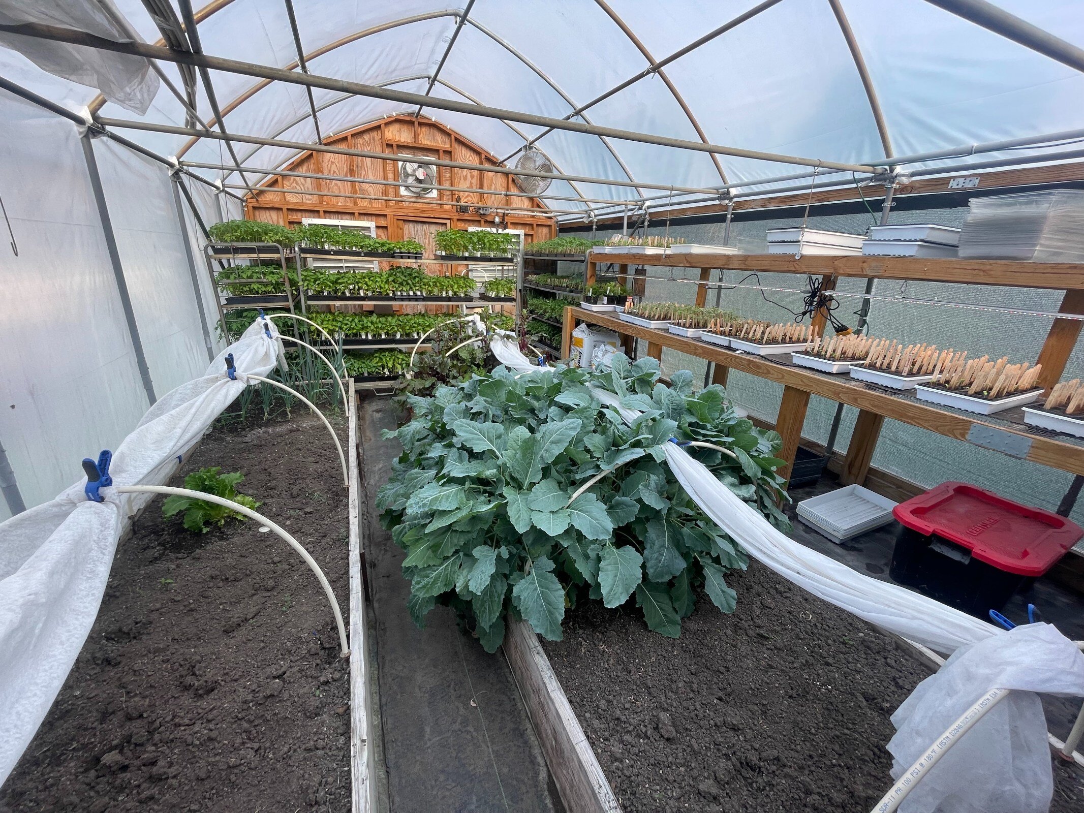 The garden complex also features a greenhouse, an herb garden and educational zone for visiting classes, a pollinator garden, and even a chicken farm for fresh eggs.