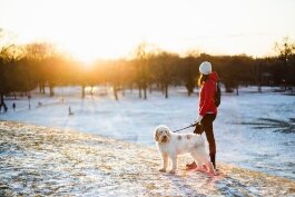 winter-wellness-parks